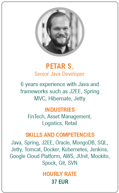 Image of senior java developer resume - Petar S.