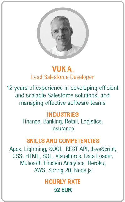 Image of lead salesforce developer resume - Vuk A.